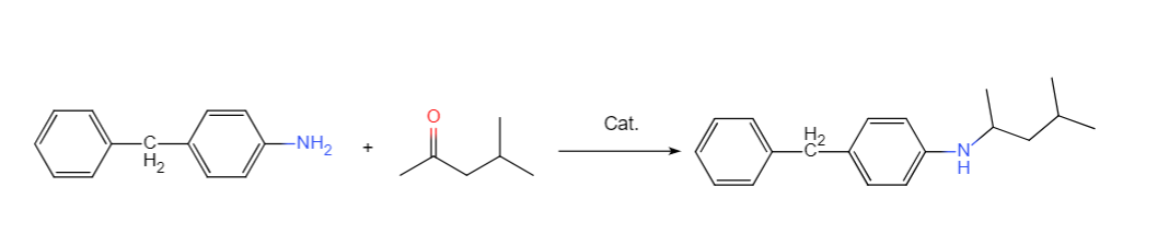 醇或酮还原胺化
