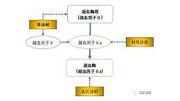 利伐沙班中间体：4-(4-氨基苯基)-3-吗啉酮的合成