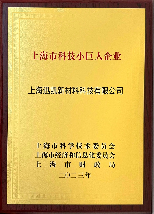 上海市科技小巨人企业