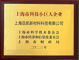 上海市科技小巨人企业