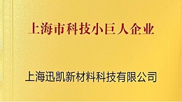 【喜报】迅凯催化荣获“上海市科技小巨人企业”称号
